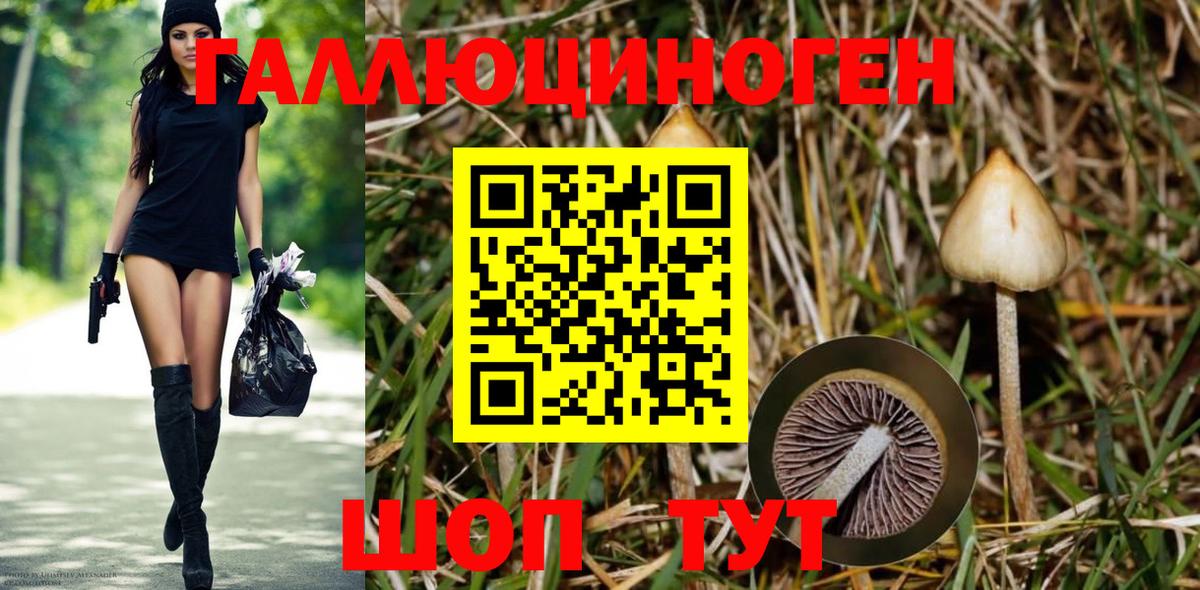 Псилоцибиновые грибы мицелий  Вход с VPN  Электрогорск 