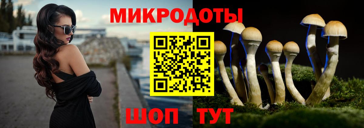 Галлюциногенные грибы прущие грибы Электрогорск